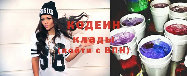 твердый Вяземский