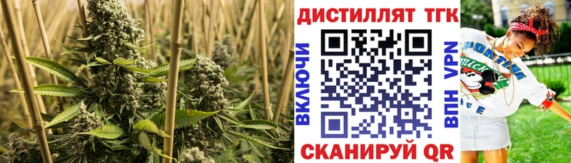 Дистиллят ТГК вейп  Купить закладки  Ужур 